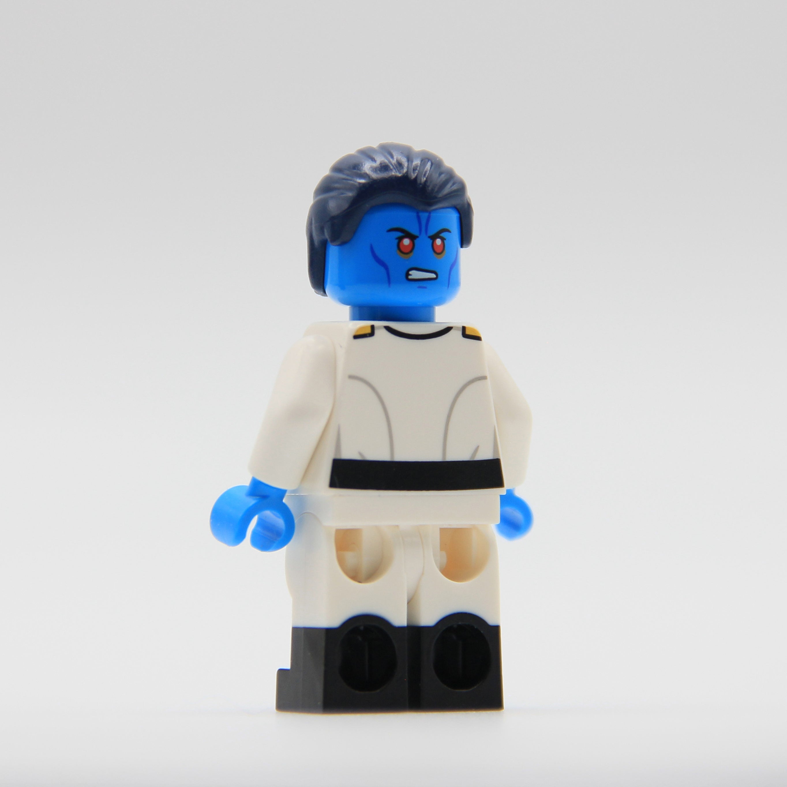 Ascendant Admiral – Ra'is Customs