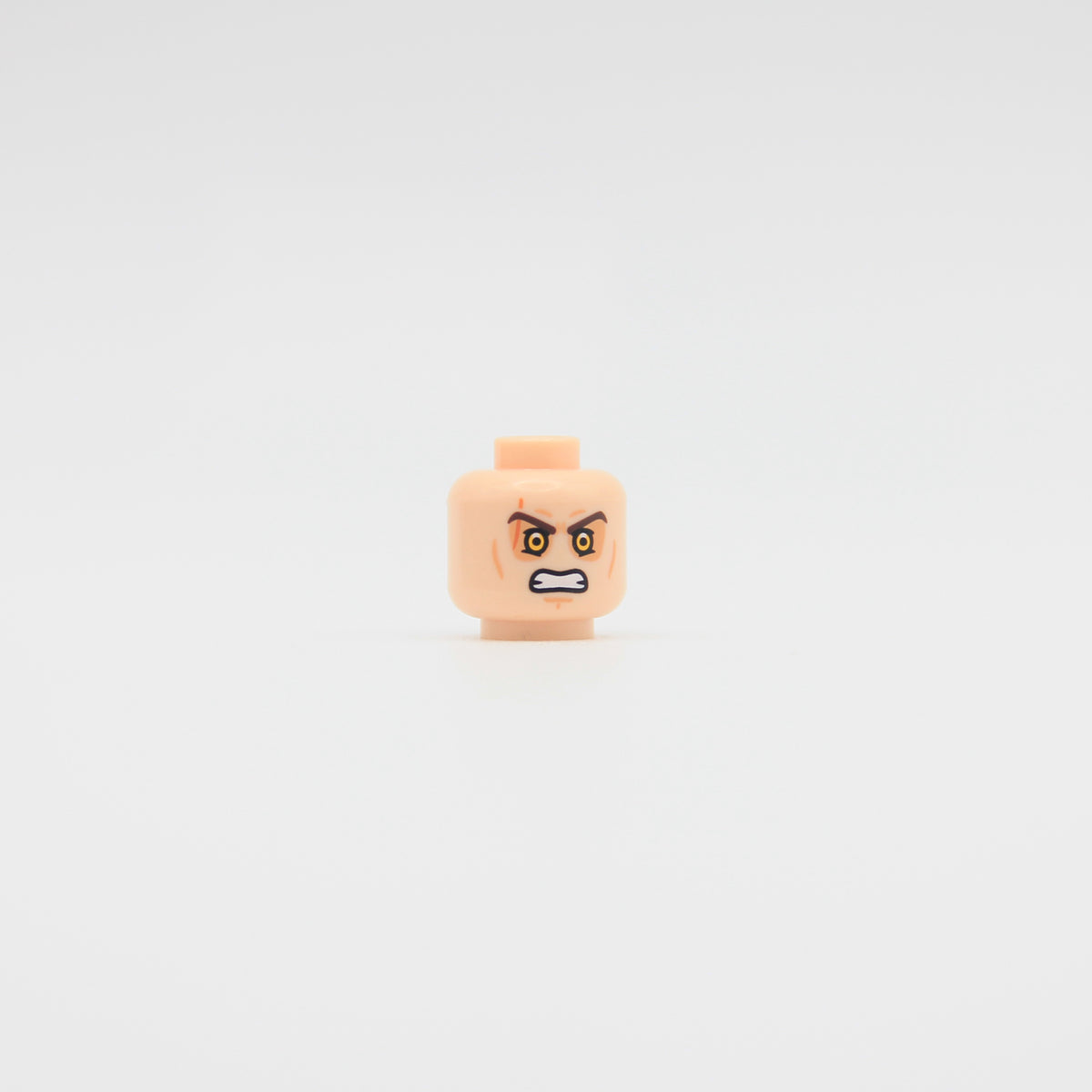 Fallen Champion Pupil Head