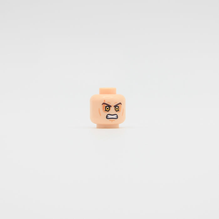 Fallen Champion Pupil Head