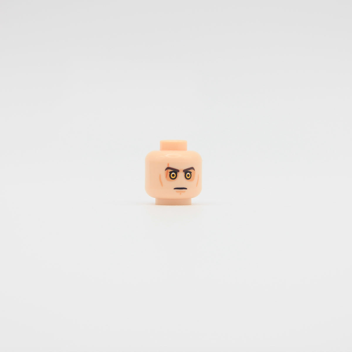 Fallen Champion Pupil Head