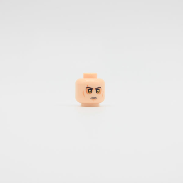 Fallen Champion Pupil Head