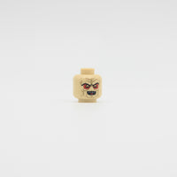 The Senate Pupil Head