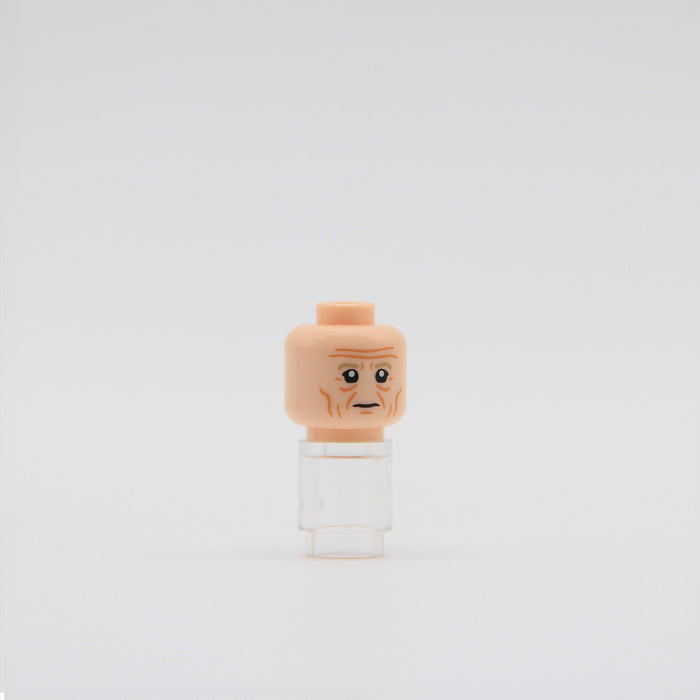 Scheming Servant Head