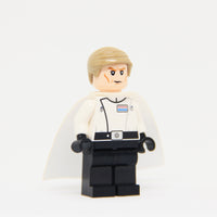 Special Weapons Director