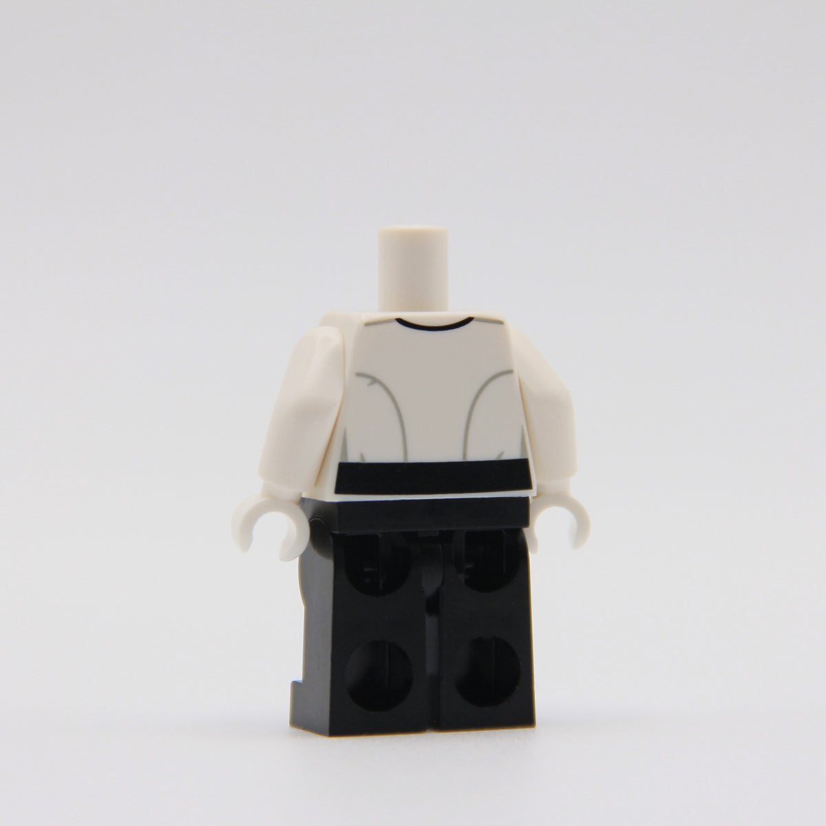 Security Bureau Lieutenant