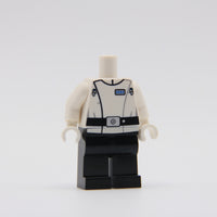 Security Bureau Captain