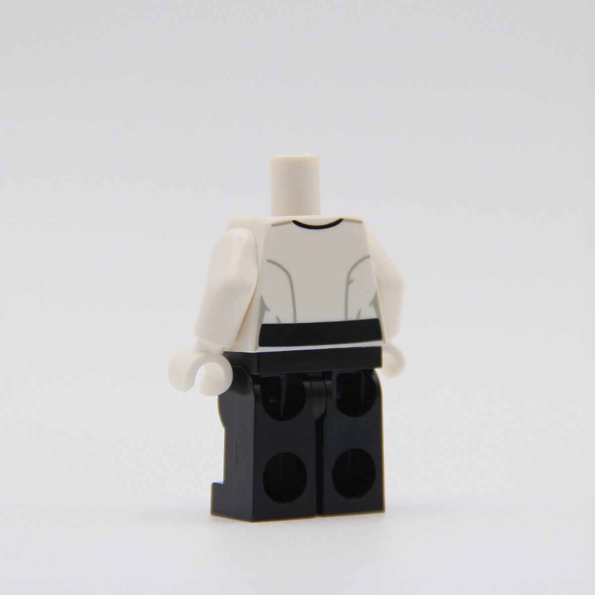 Security Bureau Lieutenant